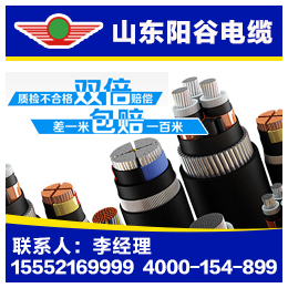 阳谷电缆生产厂家|绿灯行电缆|阳谷电缆