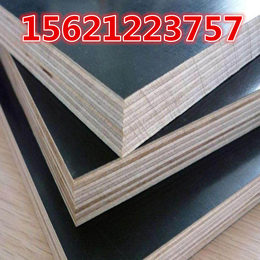 建筑*木模板高层建筑模板胶合力强反复使用不开胶星冠木业