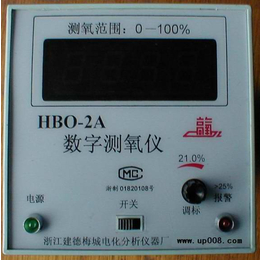 氧气分析仪 氧电****HBO-2A数字测氧仪