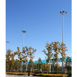 20米双臂高杆灯供应商-信诺灯饰-兴安盟双臂高杆灯供应商