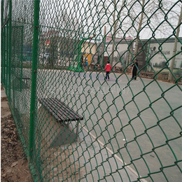 山西运动场围栏网|东川丝网|运动场围栏网加工