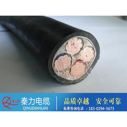 陕西电缆厂(图)|电力电缆厂家|宝鸡电力电缆