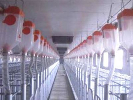 双联机械(图)-自动化养猪设备生产厂家-阜阳养猪设备