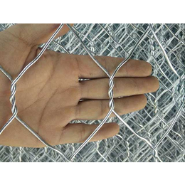 实体供应(多图)-包塑丝石笼网生产-包塑丝石笼网