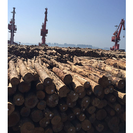 建筑木材多少钱-海南嘉航木业有限公司-建筑木材