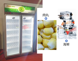 达硕厨业(在线咨询)-速冻柜-速冻柜图片