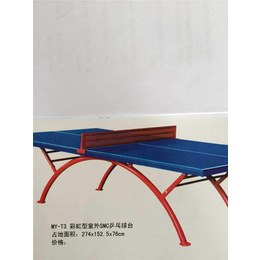 单折式乒乓球台-乒乓球台-庚宸体育(查看)