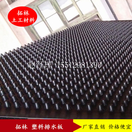 北京排水板 北京排水板生产厂家 北京路基排水板价格 滤水板