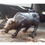 河北博创铜牛雕塑公司(图)、铸铜牛雕塑厂、铜牛缩略图1