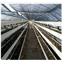 甘肃草莓立体种植槽 无土栽培架 超长使用寿命