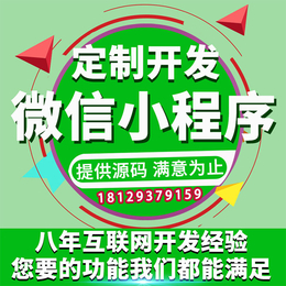 乌鲁木齐商城网站开发微信小程序、有客寻推广经验丰富