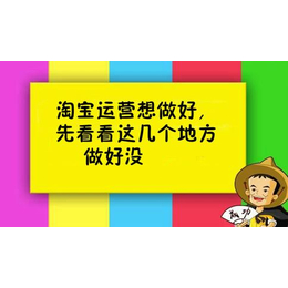 成都京东代运营西昌淘宝代运营德阳拼多多代运营绵阳天猫代运营缩略图