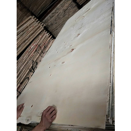 供应光板胶合板杨木多层板打包装箱板