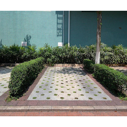 广州六角植草砖|君明水泥(在线咨询)|增城六角植草砖