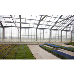 花卉玻璃温室图片,安阳盛丰温室工程,舟山花卉玻璃温室
