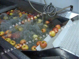 苹果清洗机 高压喷淋式蔬菜清洗机