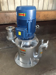 125WFB-A自吸泵-杭州自吸泵-立式自吸排污泵厂家