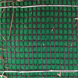 湖南长沙专卖高速护坡*冲生物毯 植生毯 生态毯