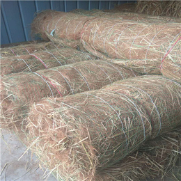 定西防护绿化边坡防护护坡植物纤维毯植生毯