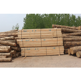 铁杉建筑方木售价,旺源木业(在线咨询),铁杉建筑方木