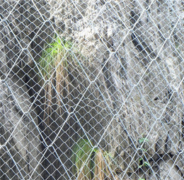 生产柔性蜘蛛网边坡主动防护网边坡挂网防护厂家价格