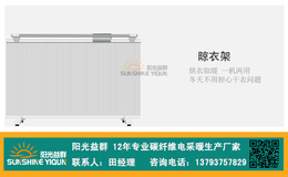 壁挂式碳纤维电暖器-衡水碳纤维电暖器-阳光益群(图)