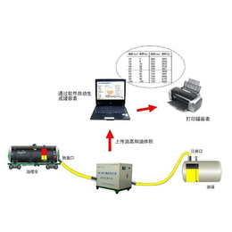 罐区环境监测原理,沧州罐区环境监测,自动计量系统(在线咨询)