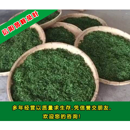 贤峰茶叶(图),绿茶品牌,绿茶