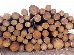 大连进口原木木材要报检什么单据证书