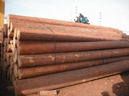 原木木材大连清关收费项目包括哪些