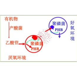 游泳池*供应商-隆源化工(在线咨询)-济宁游泳池*