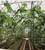 泰宇农业机械有限公司-草莓无土栽培种植槽价格-烟台种植槽缩略图1