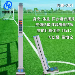 鼎恒科技DHM-301超声波身高体重计 可折叠电子测量仪