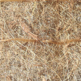 滨丰护坡环保椰丝草毯 生态袋植生袋植草毯石笼袋销售