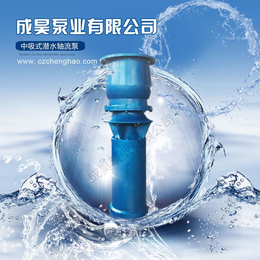 卧式潜水混流泵制造商沧州成昊泵业