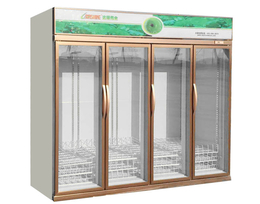 喀什单门饮料柜-达硕保鲜设备制造-单门饮料柜品牌