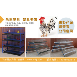 台湾兔笼|乐丰笼具厂家|金属养兔笼