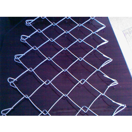 菱形护坡网-围网-热镀锌菱形护坡网