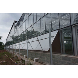 大志温室工程(图),玻璃温室工程,玻璃温室