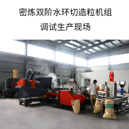 双螺杆造粒机|南京国塑挤出装备|双螺杆造粒机批发