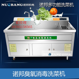 诺邦厂家*肉类解冻水果蔬菜多功能清洗机消毒臭氧洗菜机