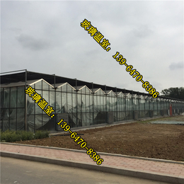 玻璃温室建设(图)|玻璃温室大棚生产厂家|遂宁玻璃温室