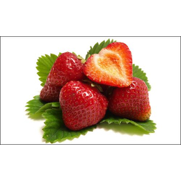 法兰地草莓苗_常州草莓苗_柏源农业(多图)