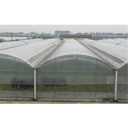 齐鑫温室园艺(在线咨询)|连栋温室|中空玻璃连栋温室