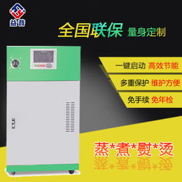 亮普9kw电加热蒸汽发生器一键启动 多重保护