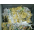 中山废塑料回收   广州胶头料收购  佛山回收pet废塑料缩略图4