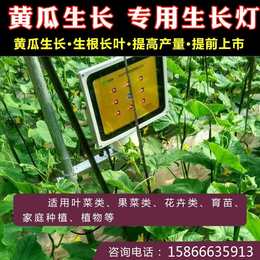 植物灯 防水_必然科技(在线咨询)_滨州植物灯
