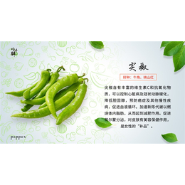 青昀初阳农业科技(多图)-天津绿色健康蔬菜