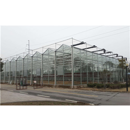 齐鑫温室园艺(图)|建个玻璃温室大棚|大棚