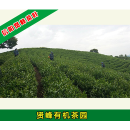 茶叶种类_茶叶_贤峰茶叶